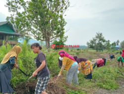 Kelompok Dasawisma Desa Tarabbi Tumbuhkan Semangat Gotong-Royong Di Jum’at Bersih