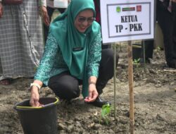 Ketua TP-PKK Lutim Hadiri Kegiatan Gerakan Tanam Cabe Serentak di Desa Maliwowo