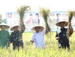 Diinisiasi Kodim 1410, Pj. Bupati Bantaeng Hadiri Panen Raya Padi