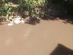 Limbah PTPN XIV Luwu Tumpah Lagi ke Sungai Lagego Masyarakat Resah