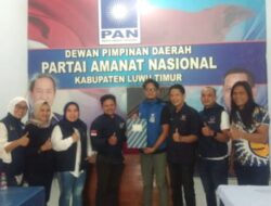 Nasdem Berencana Koalisi PAN di Pilkada Luwu Timur, Ai; Ini Bukti Tidak Ada Disparitas