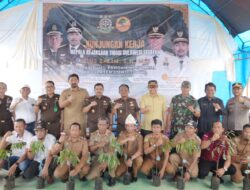 Kunjungi Kampung Pangan Adhyaksa Di Desa Agro Mulyo, Kajati Sulsel; Ciptakan Kemandirian Pangan Di Luwu Timur