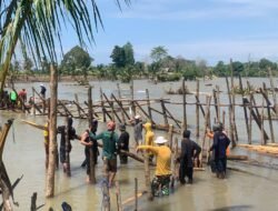 Tanggul Rusak, Perhiptani Luwu Utara Gotong Royong Perbaiki Tanggul di Desa Pombakka