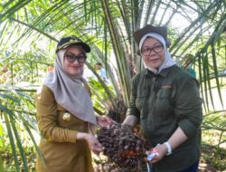 Tingkat Kesejahteraan Sosial Masyarakat Luwu Utara Makin Meningkat
