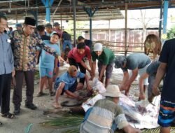 Dipantau Langsung Camat, Warga Tomoni Timur Potong 63 Hewan Kurban Pada Idul Adha 1445 H