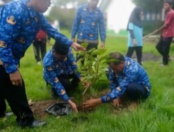 Dukung Gerakan “Peduliki Saya Jagaki”, Camat Tomtim Tanam Pohon Mangga di SMPN 1 Tomoni Timur