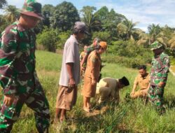 Personil Koramil 14 Mangkutana bersama Masyarakat Melaksanakan Penanaman Pohon