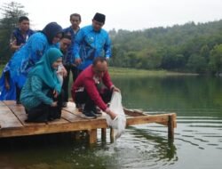 Bersama Forkopimda Bantaeng, Pj. Gubernur Sulsel Sebar 10.000 Benih Ikan Nila