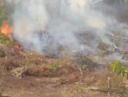 Kapolres Luwu Timur Atensi Akan Tindak Tegas Aksi Pembakaran Lahan Dan Hutan