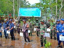 Jelang HUT TNI Ke 79 dan Hari Ozon Sedunia, Kodim 1403/Palopo Ikut berpartisipasi dalam Kegiatan  Penanaman Mangrove dan Pelepasan Kepiting Bakau