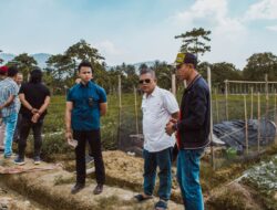 Kajari Luwu Timur Pimpin Rapat Evaluasi Program Kampung Pangan Adhyaksa