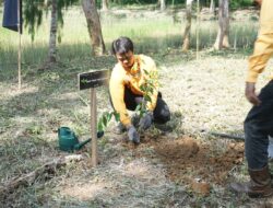 Asisten II Bupati Buka Kegiatan Penanaman Pohon di Taman Sayang