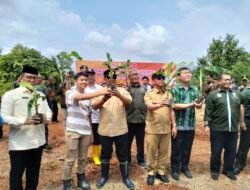 Aripin Sebut Pisang Cavendish Bisa Jadi Komoditas Andalan di Luwu Timur