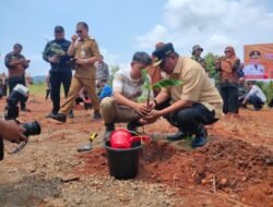 Peluang Bisnis dan Punya Nilai Ekspor, Pj Gubernur Sulsel Tanam Pisang Cavendish di Luwu Timur