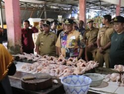 Harga Komoditi Naik di Pasar Tradisional Malili, Pj Gubernur Sulsel Minta TPID Luwu Timur Stabilkan Harga