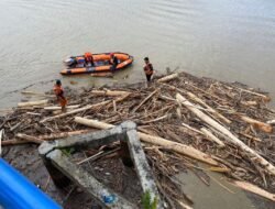 Ini Penyebab Banyaknya Material Kayu yang Terbawa Luapan Sungai Malili