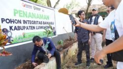 Simbol Kejujuran dan Integritas, Bawaslu Luwu Timur Resmikan ‘Taman Manggis’