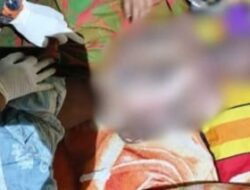 Petani Di Towuti Tewas Tersambar Petir