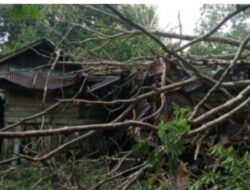 Hujan Deras Disertai Angin Kencang, Rumah Di Tarabbi Tertimpa Pohon