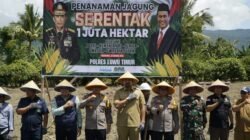 Polres Luwu Timur Tanam Jagung Serentak, Dukung Ketahanan Pangan Nasional