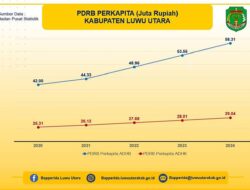 Gini Rasio Terendah, Distribusi Pendapatan Masyarakat Luwu Utara Paling Merata di Sulsel