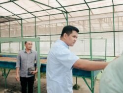 Siap Swasembada Pangan, Bupati Bantaeng akan Revitalisasi Balai Benih yang Terbengkalai