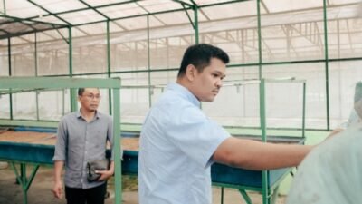 Siap Swasembada Pangan, Bupati Bantaeng akan Revitalisasi Balai Benih yang Terbengkalai