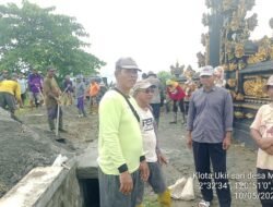 Petani Tomoni Timur Siap Sambut Menteri Pertanian pada Panen Raya di Margomulyo