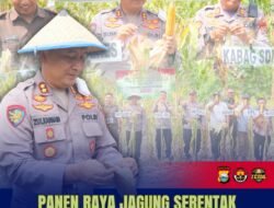 Kapolres Luwu Timur Panen Raya Jagung Bersama Warga Desa Kalaena: Sukses Menuju Swasembada Pangan 2025
