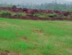 Lahan  Sengketa di Mahalona Mau Dijadikan Percetakan Sawah