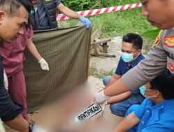 Geger, Seorang Tukang Kayu Ditemukan Tak Bernyawa di Pondok Samping Workshop Jalan Pepakulia Nuha