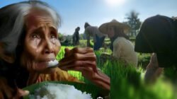 RPJMD Luwu Timur Difinalisasi, Program Ibas-Puspa Dipertanyakan Keadilannya