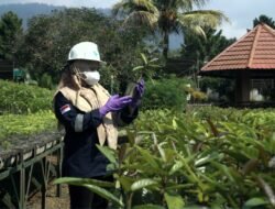 Dari Fasilitas Pembibitan, Vale Buktikan Komitmen Keberlanjutan