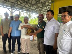 Terkesan Haji Subhan, Bupati Andi Rahim Undang Pemilik Champion Cabe Itu ke Luwu Utara