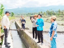 Telah Rampung, Uji Nurdin Tinjau Perbaikan Irigasi Akibat Banjir di Desa Mamampang