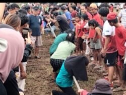 Semangat Membara di Lapangan Tarabbi: Tarik Tambang Putri Meriahkan HUT RI ke-80