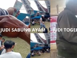 Razia Judi Sabung Ayam di Tondon Langi Toraja Utara, Bagaimana dengan Judi Kupon Putih ?