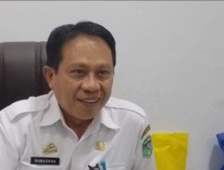 Kunker Bupati Luwu Timur ke Malaysia Jadi Sorotan: Izin Belum Keluar, Anggaran Pribadi Jadi Pertanyaan