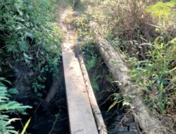 Akses Jalan Tani di Tarabbi Butuh Perhatian Pemerintah