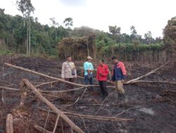 Patroli Terpadu Cegah Kebakaran Hutan di Luwu Timur