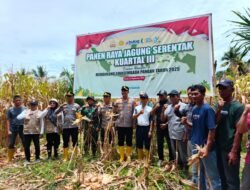 Polres Lutim Gelar Panen Raya Jagung Dalam Rangka Swasembada Pangan