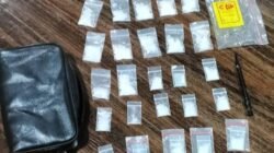 Polres Luwu Utara Ciduk Petani Waetuo dengan 25 Sachet Sabu