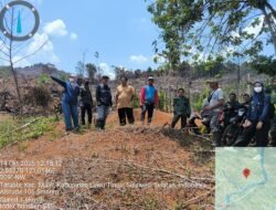 Kebakaran Lahan Hutan Lindung di Tarabbi, Diduga Ulah Oknum Tak Bertanggung Jawab