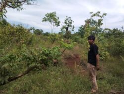 Tolak Lahan Dikuasai PT IHIP, Warga Laskap Siap Pertaruhkan Nyawa