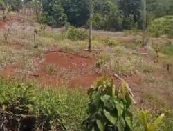 Sewa Lahan IHIP: Harga “Tanah Kosong” Picu Polemik, Penilai Publik Didesak Buka Suara!