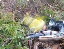 Petani di Desa Buangin Tewas Dililit Ular Piton Raksasa