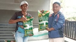 153 Poktan di Luwu Utara Terima Bantuan Benih Padi dan Jagung Program Mandiri Benih