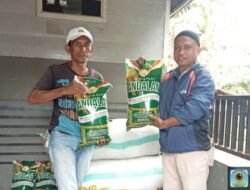 153 Poktan di Luwu Utara Terima Bantuan Benih Padi dan Jagung Program Mandiri Benih