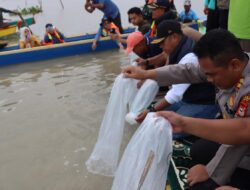Tingkatkan Kesejahteraan Nelayan, Bupati Wajo Tebar Puluhan Ribu Bibit Ikan di Danau Tempe
