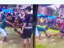 Judi SBY Hari Ini Digelar di Kampung Bonoran Sallebayu, Tikunna Malenong, Sanggalangi